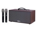 LOA KARAOKE DI ĐỘNG ACNOS CS391 (2 bass 14cm, 500W, KÈM 2 MICRO UHF VÕ NHÔM)