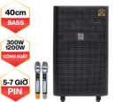 Loa kéo Arirang MK1 New (Bass 40cm,CS PMPO 1000W,kèm 2 tay mic)