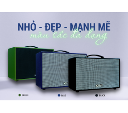 Loa Karaoke mini xách tay ACNOS CS250SON